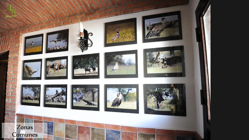 Apartamentos Rurales Monfraguee Торрехон-ель-Рубіо Екстер'єр фото